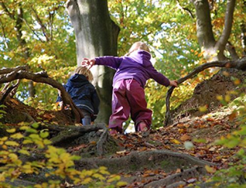Der Wald sieht keine Unterschiede, nur Kinder